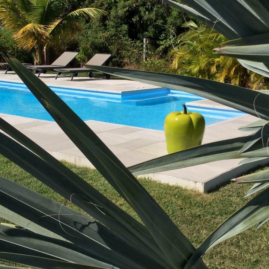Gite Les Jardins D'Enoha Anse-Bertrand Екстер'єр фото